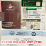 Can a Philippines marriage visa (13A) holder access emergency healthcare anywhere in the country?
