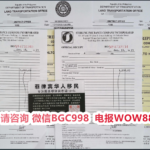 Can a Philippines marriage visa (13A) holder integrate easily into Filipino culture?
