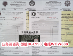 Can a Philippines marriage visa (13A) holder integrate easily into Filipino culture?